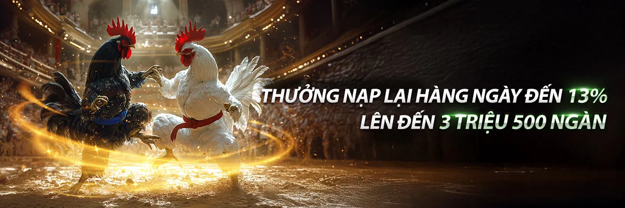 Đá Gà Trực Tuyến bu88 đăng ký